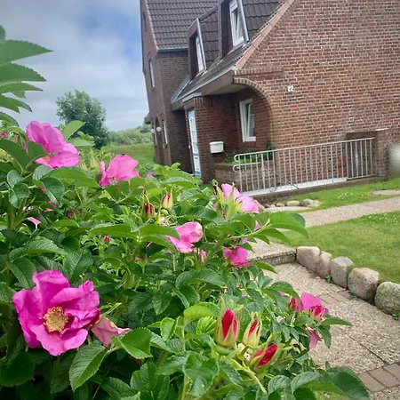 Sylter Rose 3a Suderende (Sylt)